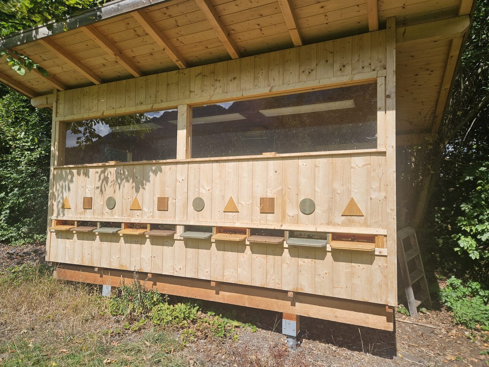 Fensterfront des Bienenhauses mit bunten Anflugbrettern, dahinter Laubbäume am Waldrand
