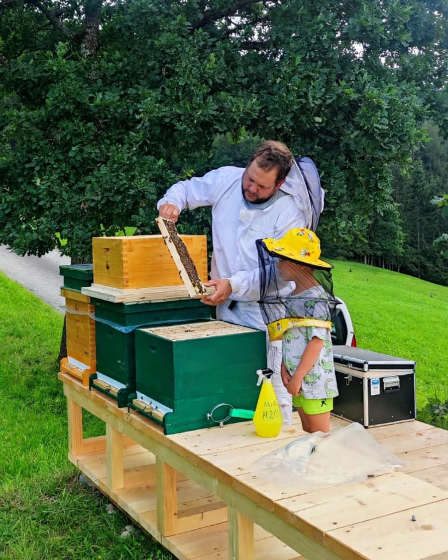 Martin Höck zeigt einem Kind im Imkerhut eine Wabe am Bienenstand