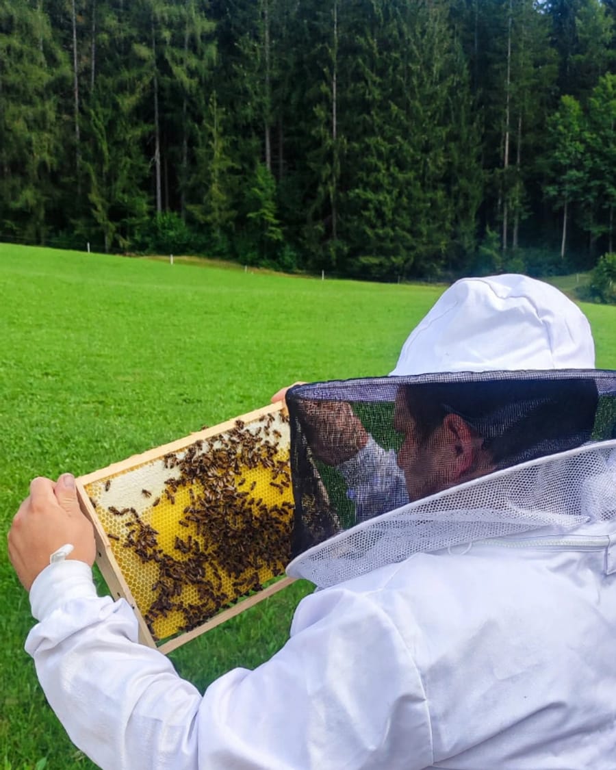 Martin Höck im Imkeranzug hält eine Wabe mit Bienen vor dem Bienenstand