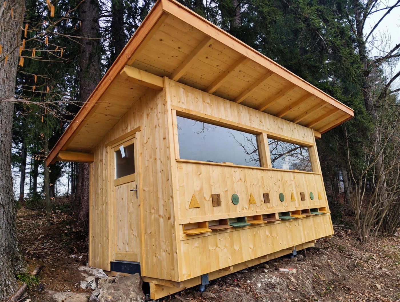 Das selbst gebaute Bienenhaus aus Holz mit Pultdach, Fensterfront und bunten Anflugbrettern im Wald